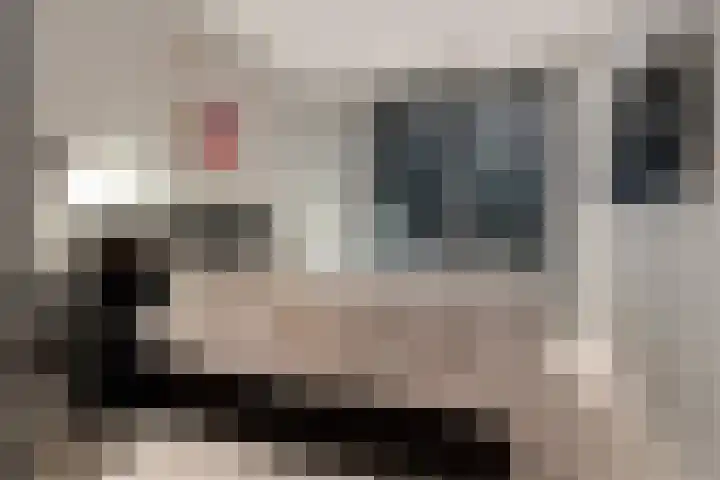 Joost Ivanghlaan 2 M Bergen (NH) thumbnail 11