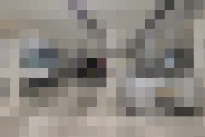 Joost Ivanghlaan 2 M Bergen (NH) thumbnail 42