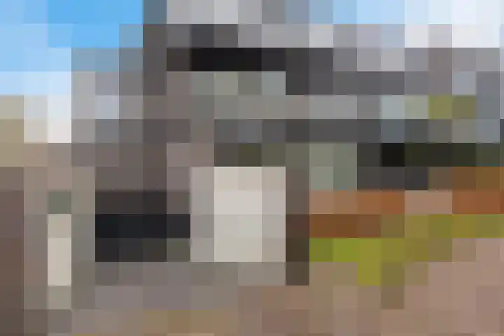 Joost Ivanghlaan 2 M Bergen (NH) thumbnail 5