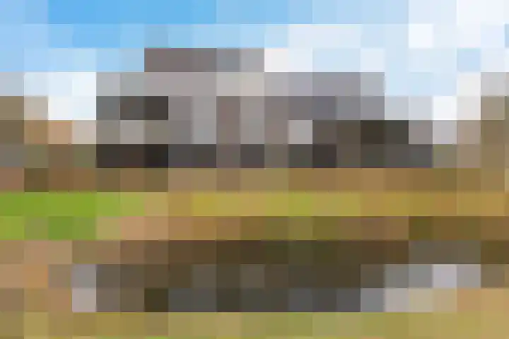 Joost Ivanghlaan 2 M Bergen (NH) thumbnail 7