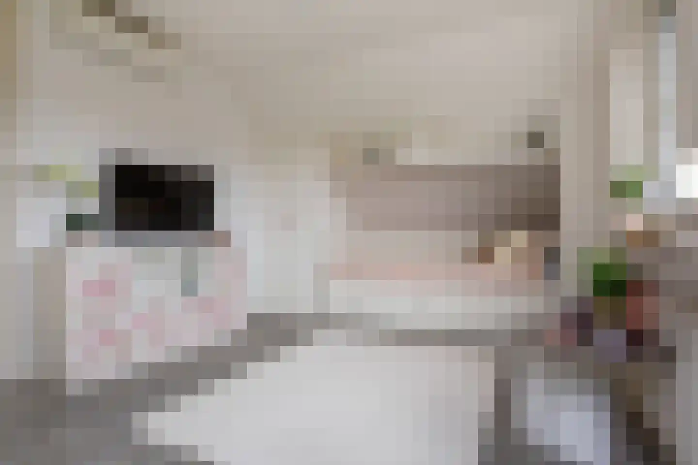 Joost v d Vondelstraat 13 Volendam thumbnail 38