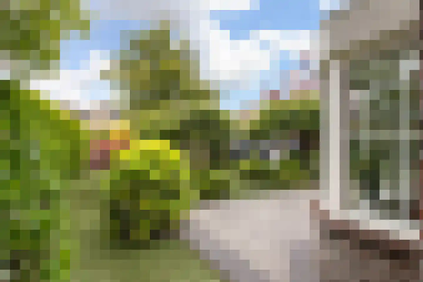 Joost v d Vondelstraat 13 Volendam thumbnail 50