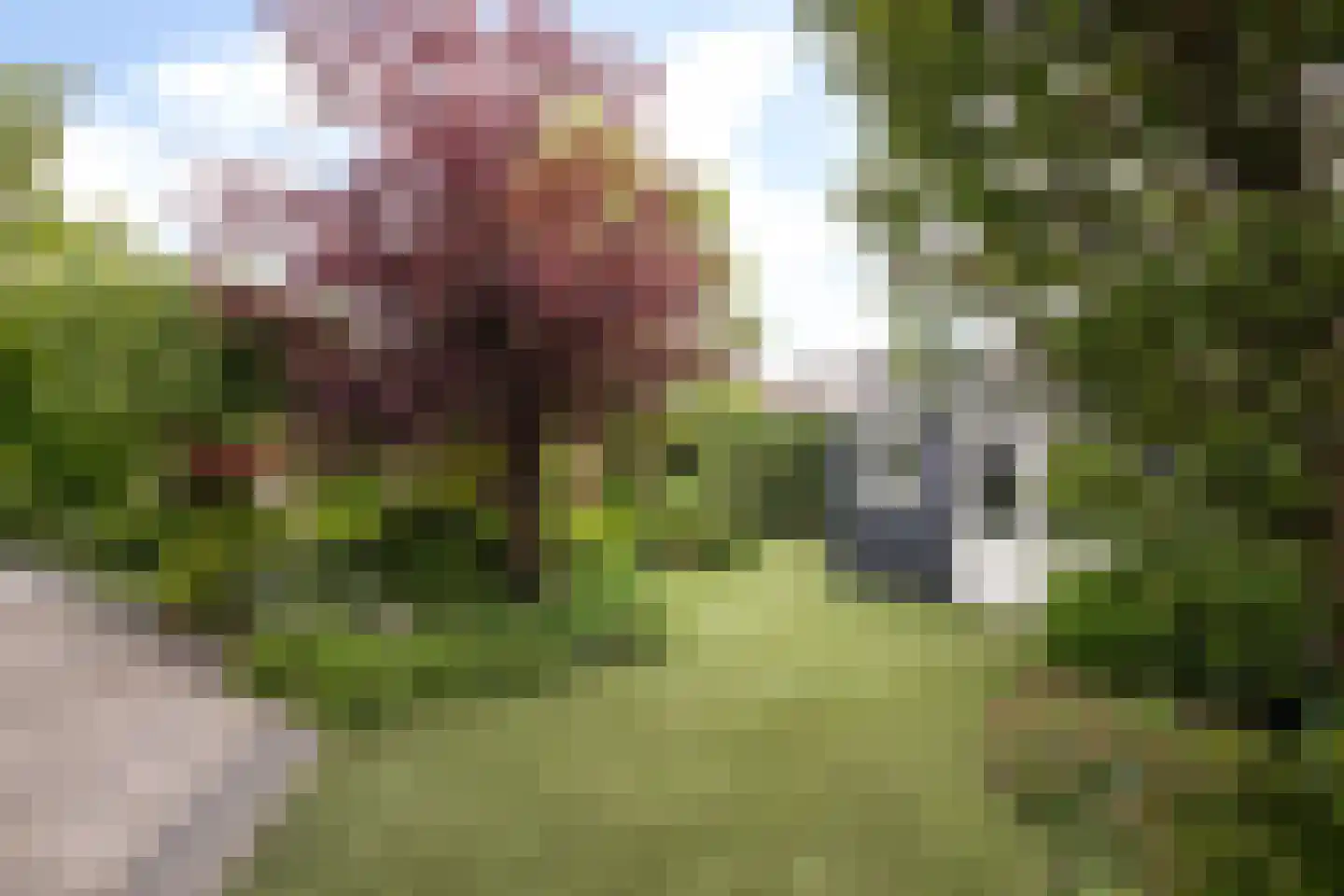 Joost v d Vondelstraat 13 Volendam thumbnail 62