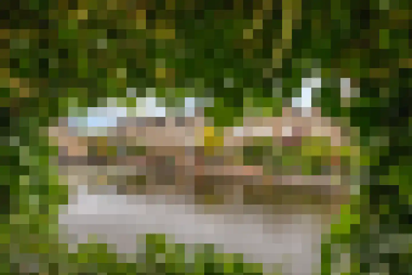 Joost v d Vondelstraat 13 Volendam thumbnail 67