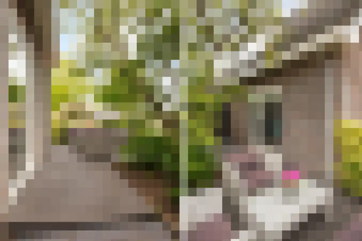 Joost v d Vondelstraat 13 Volendam thumbnail 69
