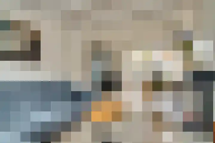 Joost van de Mortelstraat 4 Tilburg thumbnail 10