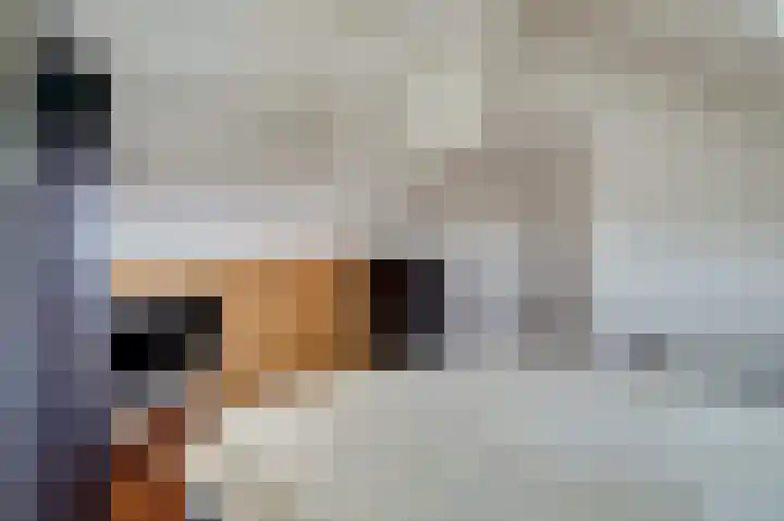 Joost van de Mortelstraat 4 Tilburg thumbnail 26