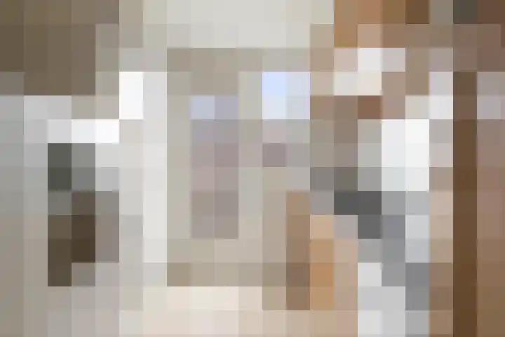 Joost van den Vondellaan 11 Deventer thumbnail 17