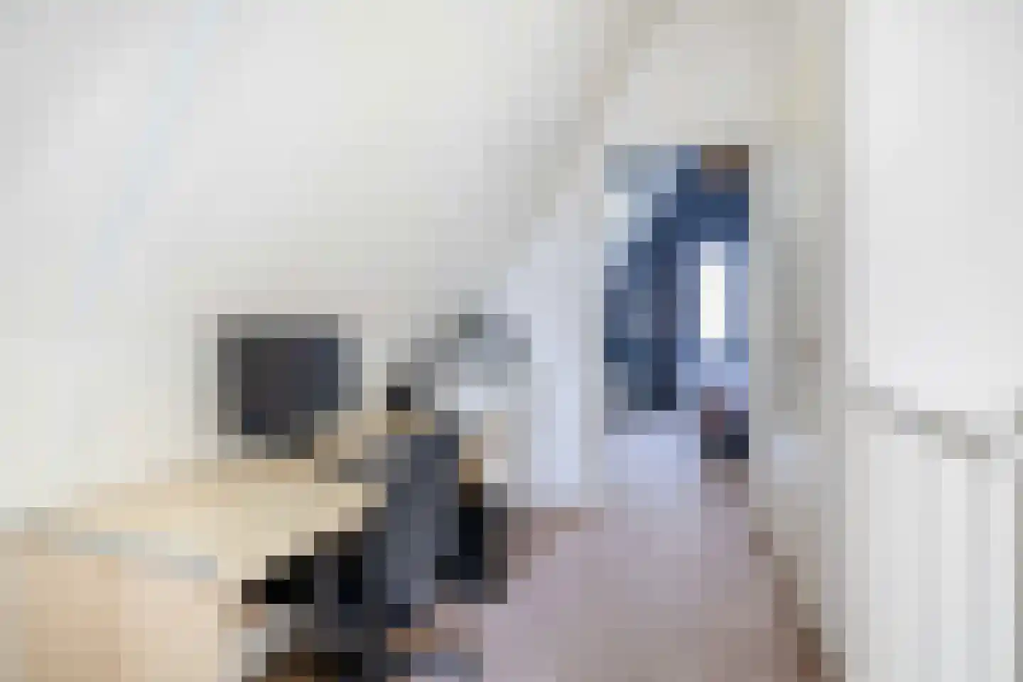 Joost van den Vondellaan 122 Middelharnis thumbnail 31