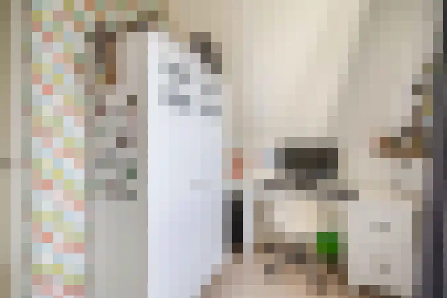Joost van den Vondellaan 122 Middelharnis thumbnail 34