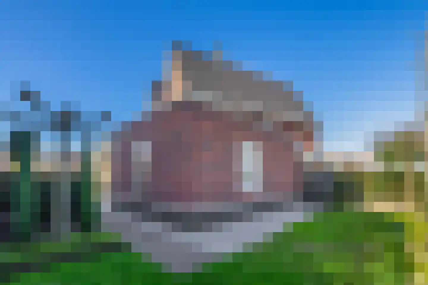 Joost van den Vondellaan 122 Middelharnis thumbnail 39
