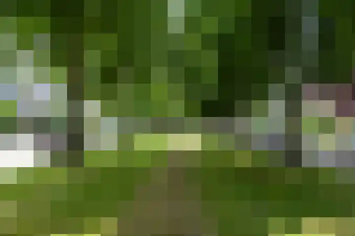 Joost van den Vondellaan 15 Uithoorn thumbnail 23