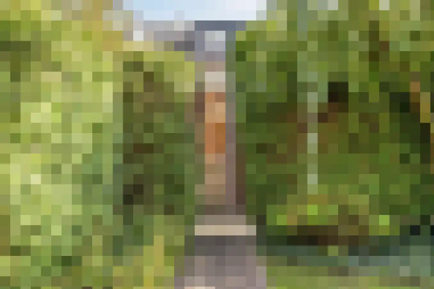 Joost van den Vondellaan 15 Uithoorn thumbnail 23
