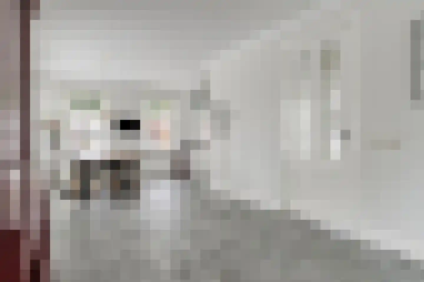 Joost van den Vondellaan 156 Middelharnis thumbnail 11