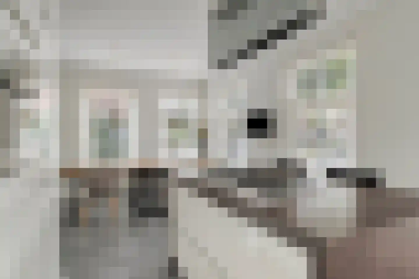 Joost van den Vondellaan 156 Middelharnis thumbnail 12