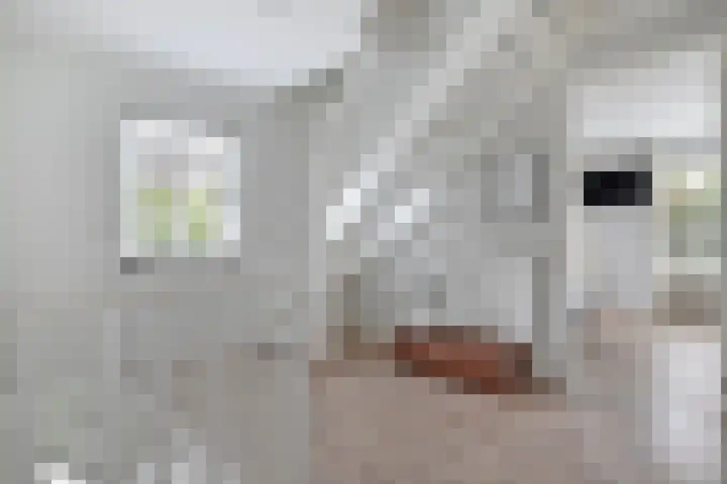 Joost van den Vondellaan 156 Middelharnis thumbnail 14