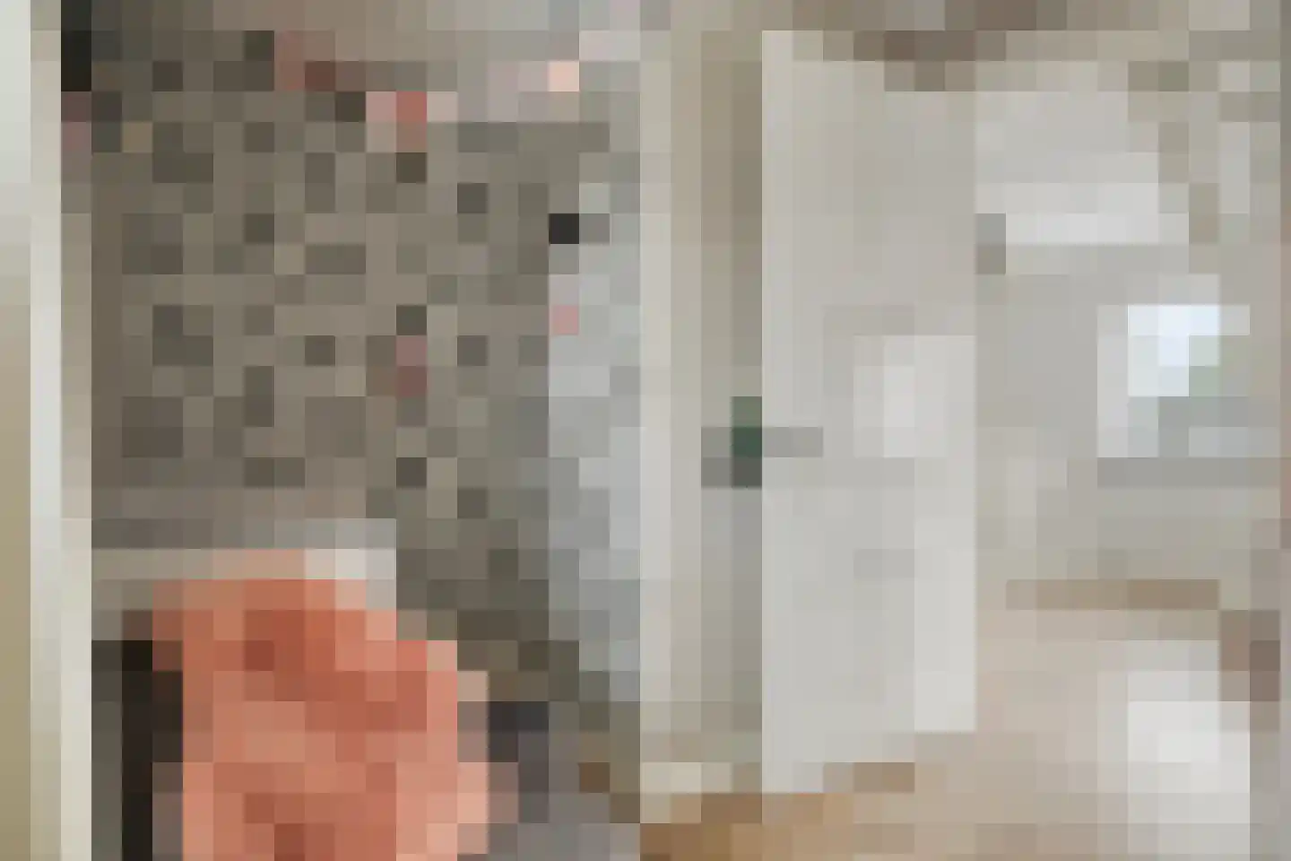 Joost van den Vondellaan 156 Middelharnis thumbnail 24