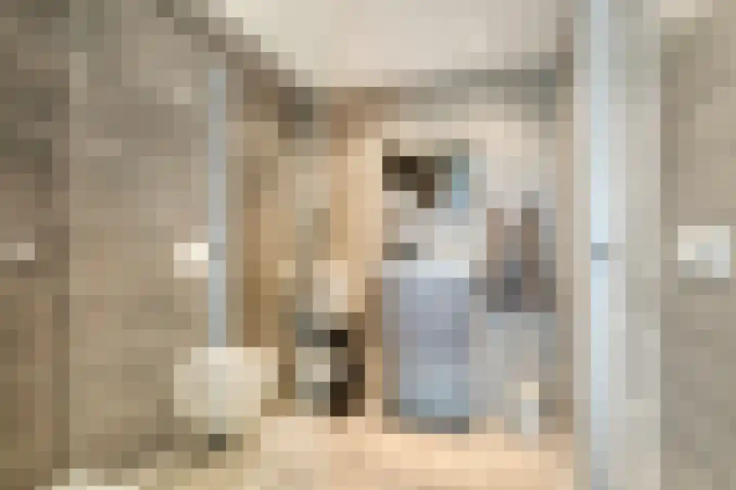 Joost van den Vondellaan 156 Middelharnis thumbnail 28
