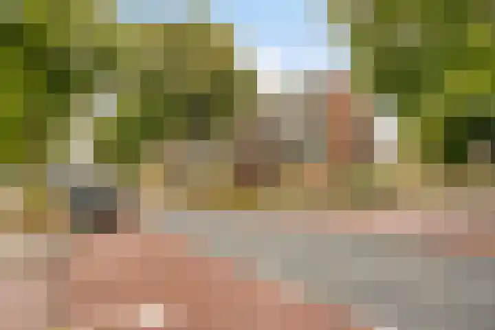 Joost van den Vondellaan 22 Deventer thumbnail 24