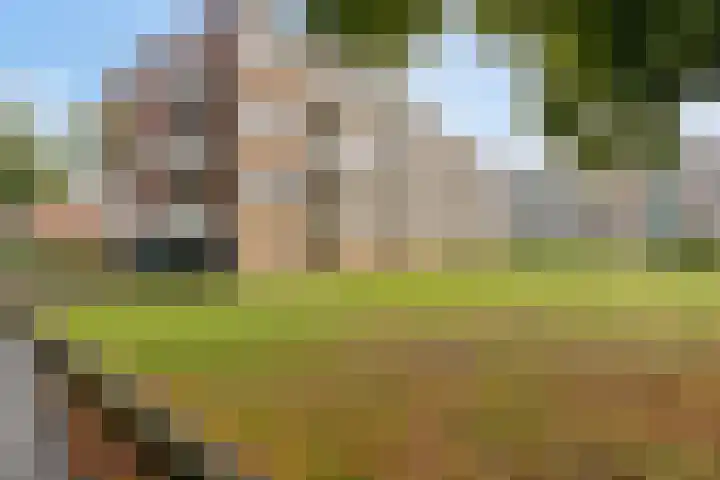 Joost van den Vondellaan 22 Deventer thumbnail 25