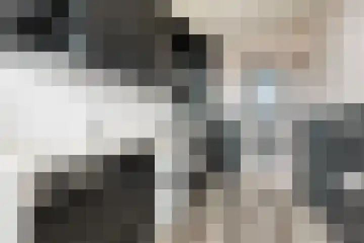 Joost van den Vondellaan 22 Deventer thumbnail 6