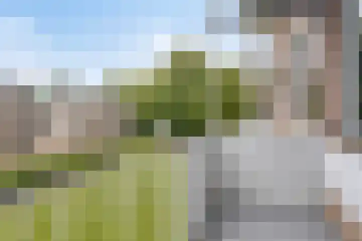 Joost van den Vondellaan 22 Deventer thumbnail 7