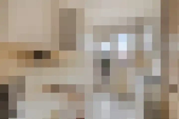 Joost van den Vondellaan 23 Deventer thumbnail 12