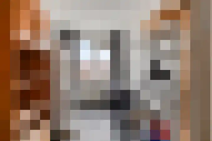 Joost van den Vondellaan 23 Deventer thumbnail 19