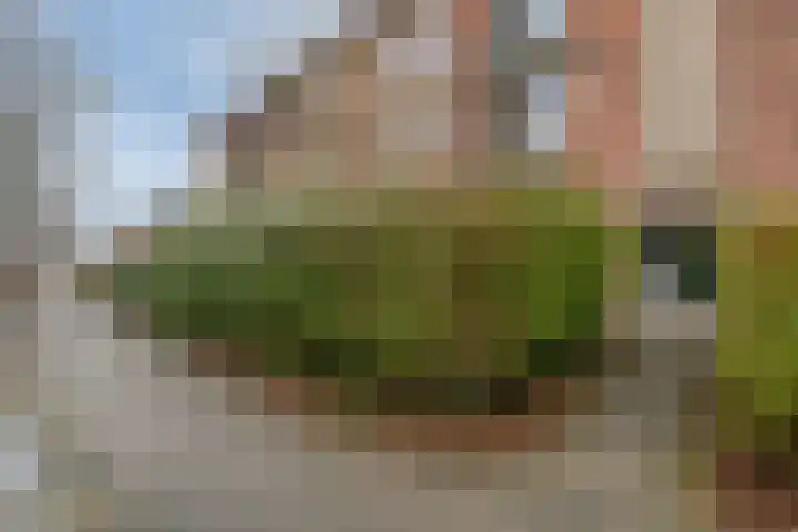 Joost van den Vondellaan 23 Deventer thumbnail 23