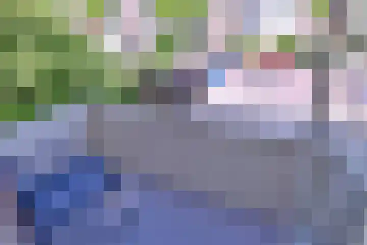 Joost van den Vondellaan 26 Deventer thumbnail 13