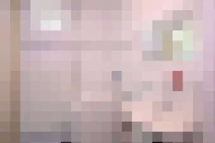 Joost van den Vondellaan 26 Deventer thumbnail 15