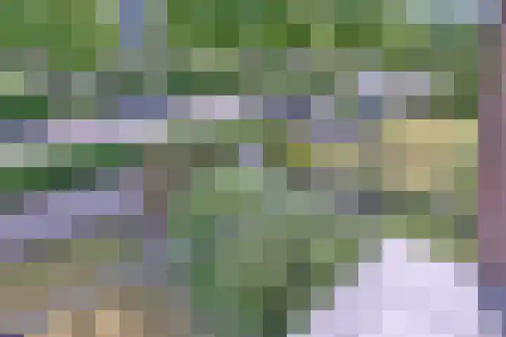 Joost van den Vondellaan 26 Deventer thumbnail 24