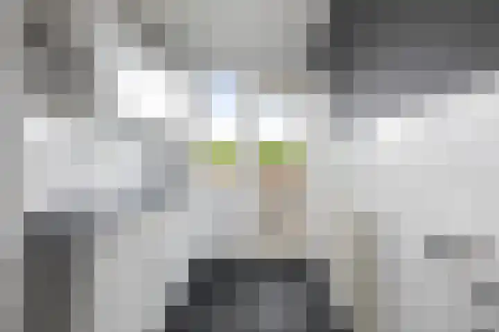 Joost van den Vondellaan 27 Deventer thumbnail 12