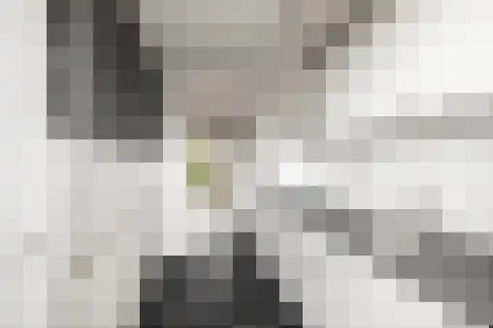 Joost van den Vondellaan 27 Deventer thumbnail 13
