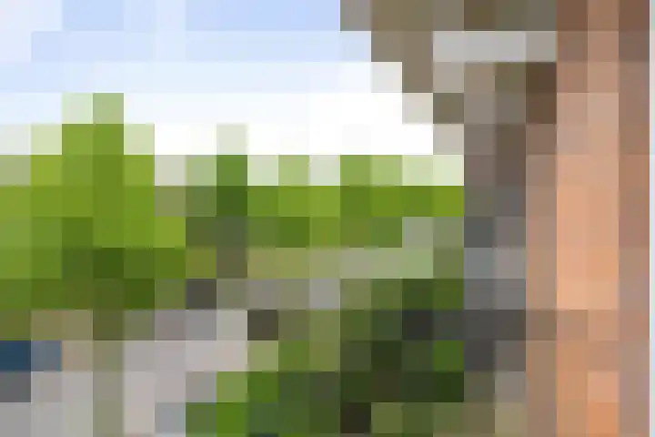 Joost van den Vondellaan 27 Deventer thumbnail 18