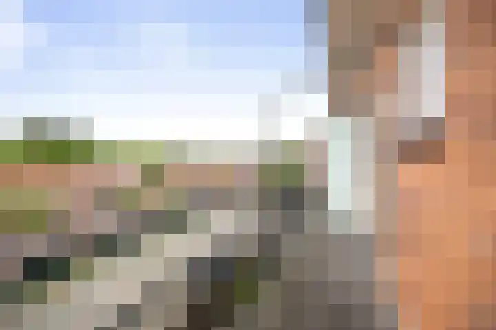 Joost van den Vondellaan 27 Deventer thumbnail 20
