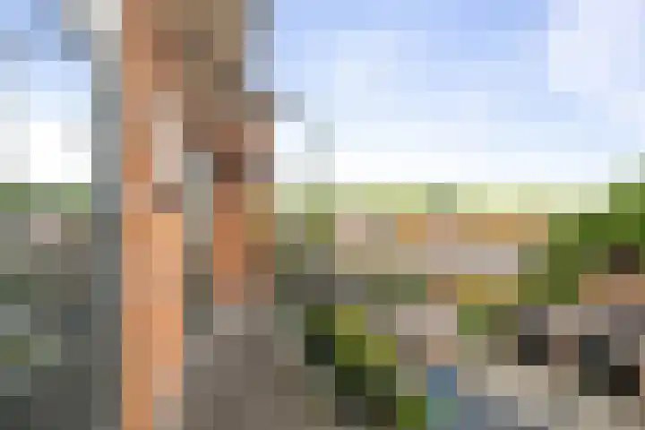 Joost van den Vondellaan 27 Deventer thumbnail 21