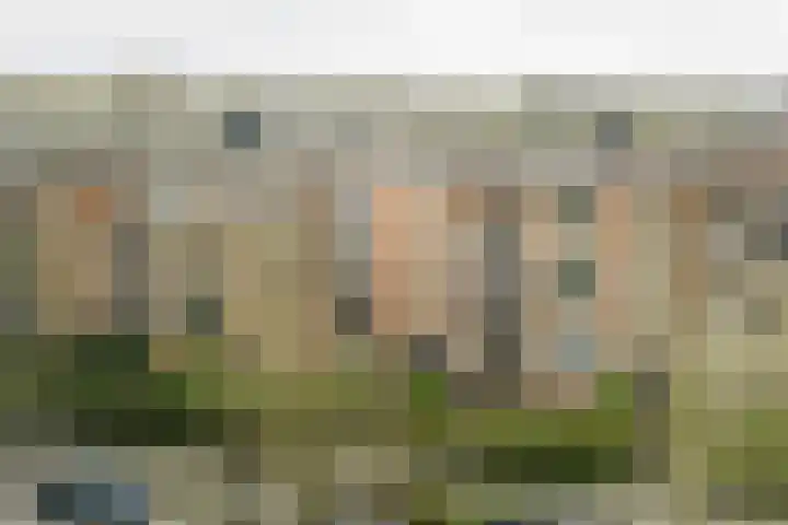 Joost van den Vondellaan 31 Deventer thumbnail 30