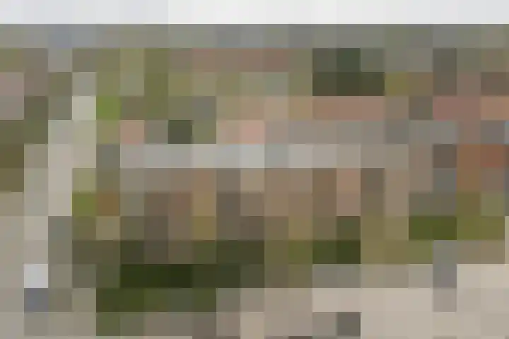 Joost van den Vondellaan 31 Deventer thumbnail 31