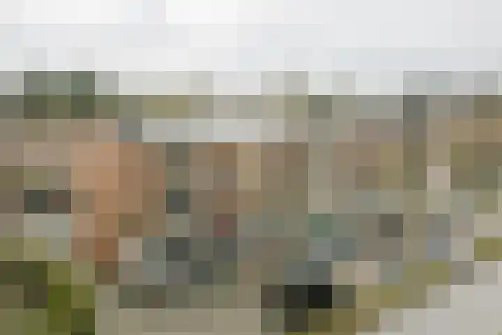 Joost van den Vondellaan 31 Deventer thumbnail 34