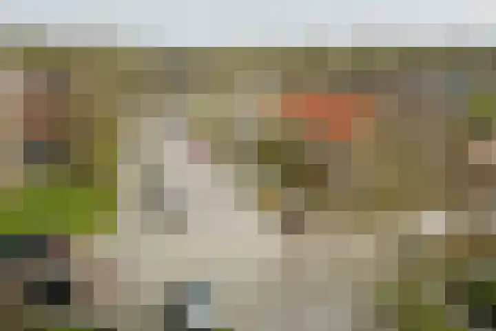 Joost van den Vondellaan 31 Deventer thumbnail 35