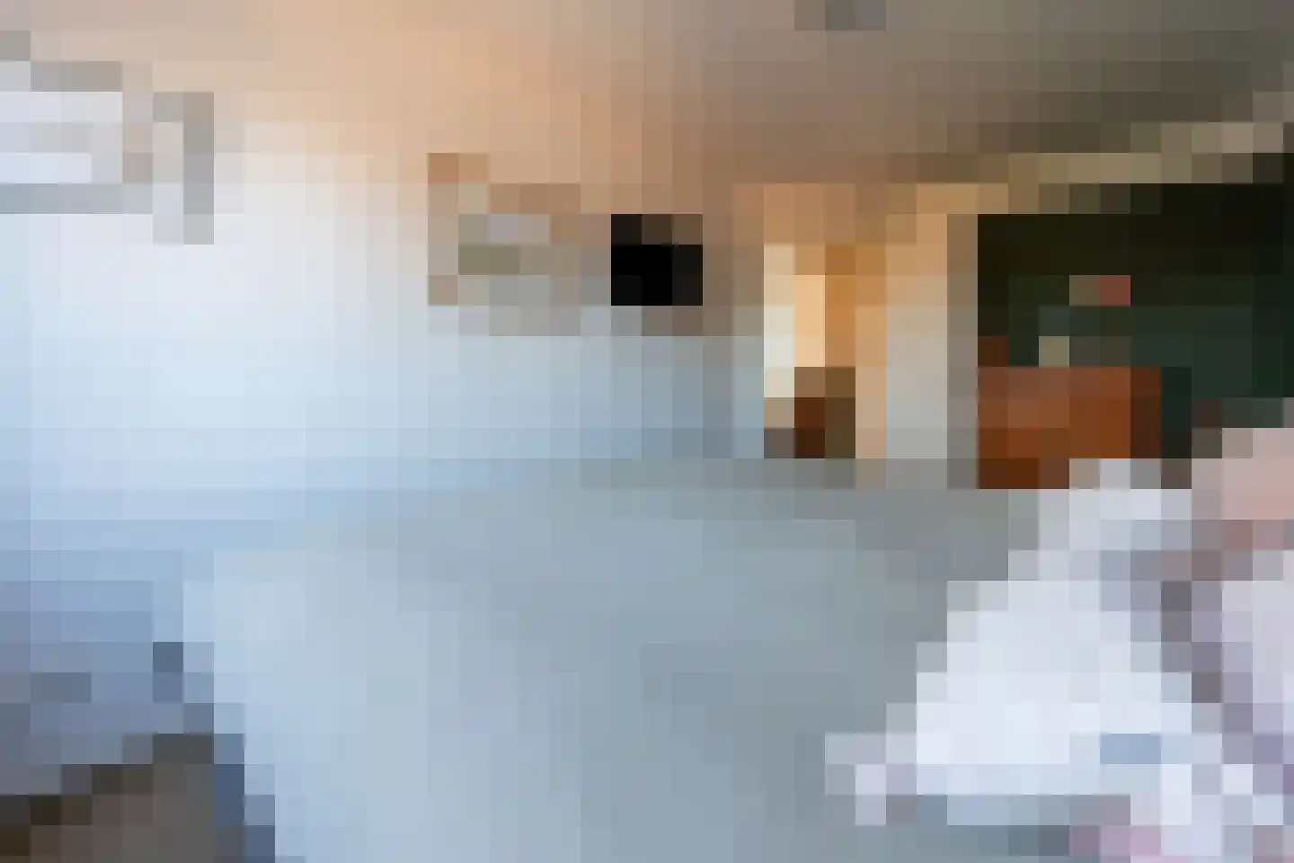 Joost van den Vondellaan 34 Zeist thumbnail 23
