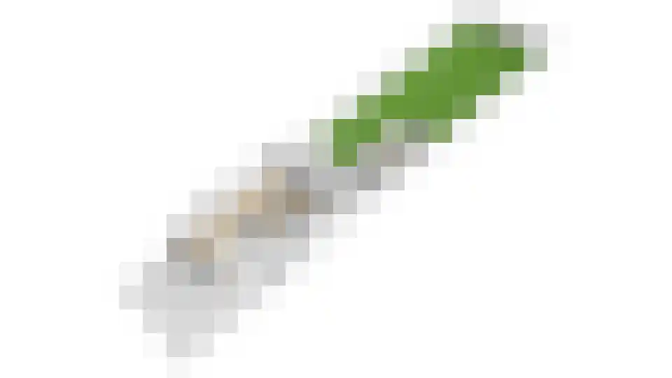 Joost van den Vondellaan 34 Zeist thumbnail 50