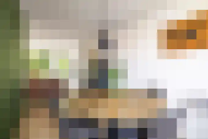 Joost van den Vondellaan 36 Deventer thumbnail 11