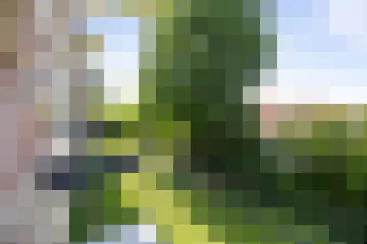 Joost van den Vondellaan 36 Deventer thumbnail 14