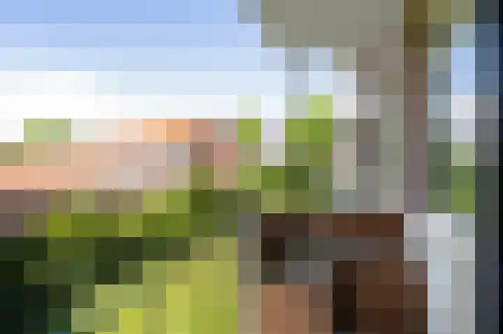 Joost van den Vondellaan 36 Deventer thumbnail 15