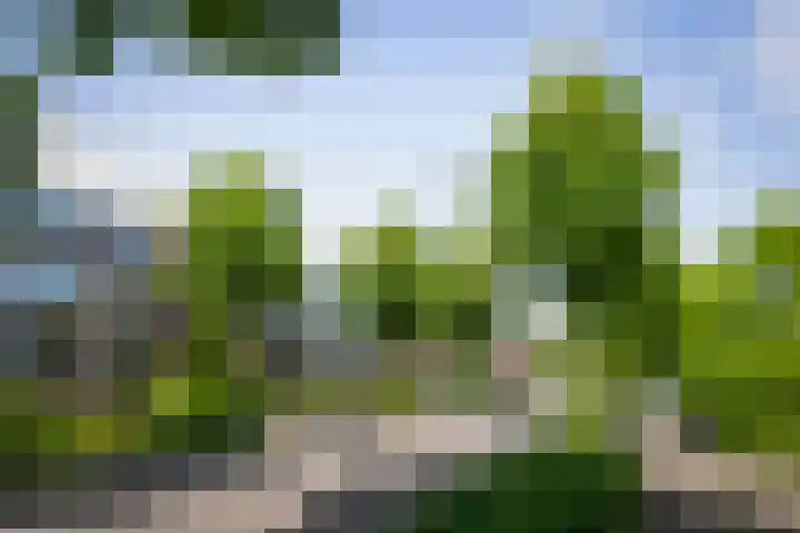 Joost van den Vondellaan 36 Deventer thumbnail 21