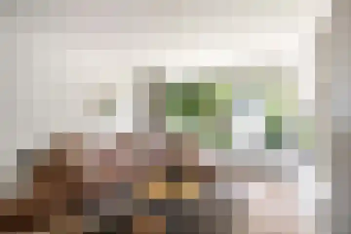 Joost van den Vondellaan 36 Deventer thumbnail 9