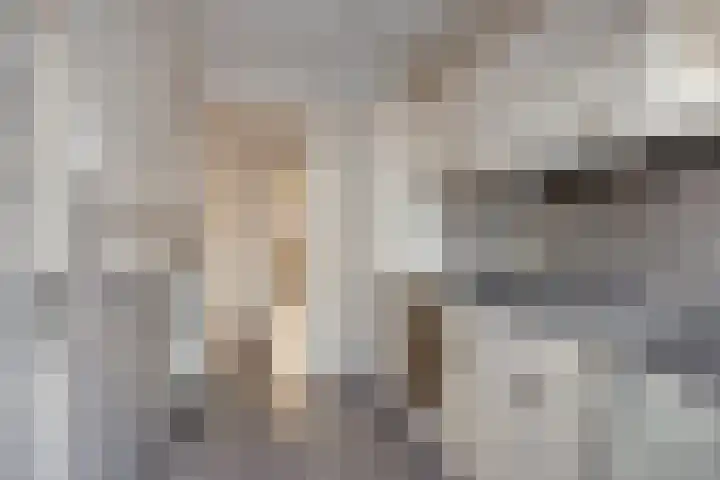 Joost van den Vondellaan 38 Deventer thumbnail 14