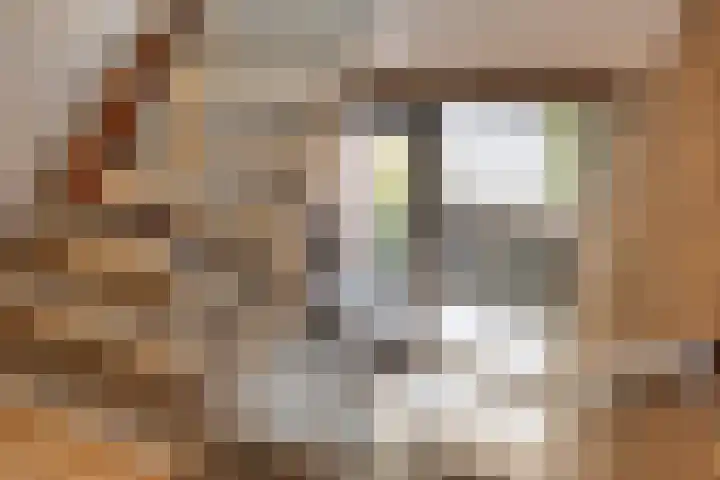 Joost van den Vondellaan 38 Deventer thumbnail 24